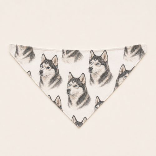 Pet Bandana