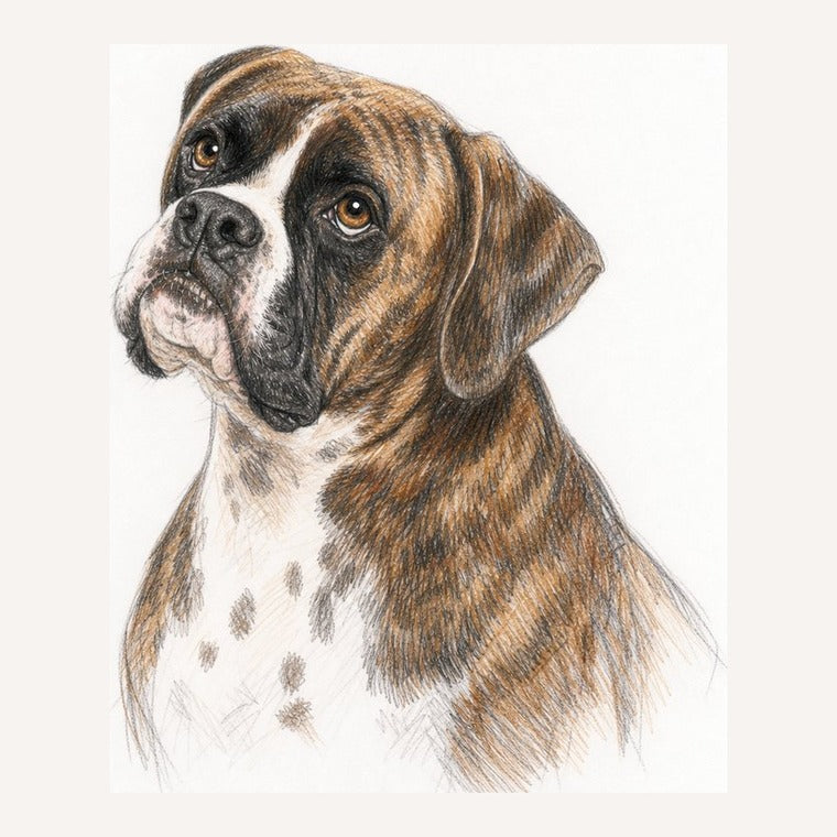 An example drawing